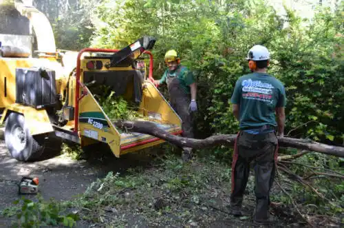 tree services Addison